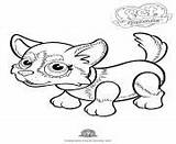 Coloring Parade Pages Pet Dog Husky Cute Online Info Print sketch template