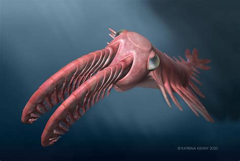 incredible vision  ancient radiating teeth deep sea creatures drove