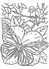 Papillon Coloriage Imprimer Oiseau Dessin Mandala Colorier Papillons Coloriages Insectes Schmetterlinge Boyama Hugolescargot Mandalas Sayfaları Kelebekler Renkli Desen Kitapları Yazdırılabilir sketch template