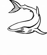 Zeedieren Haai sketch template