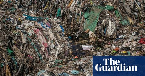 Plastic Pollution Blights Bay Of Bengal In Pictures Global