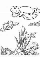Coloring Sea Under Pages Coloring4free Colouring Aquarium Underwater Animals Realistic Turtles Creche Plants Books Back Horizon sketch template