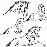 Dressage Horse Vector Drawing Clip Illustrations Themes Graphics Trailer Horses Getdrawings Compound Adapted Paths Crossed Plotter Lines Sport Stock sketch template