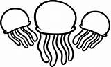 Jellyfish Medusas Medusa Qualle Outline Clipart Ausmalbilder Jelly Dragoart Drawing Letzte sketch template