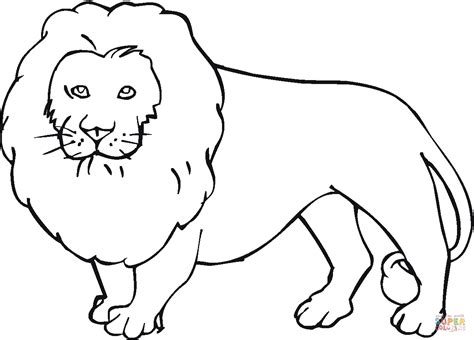 lion coloring page  printable coloring pages
