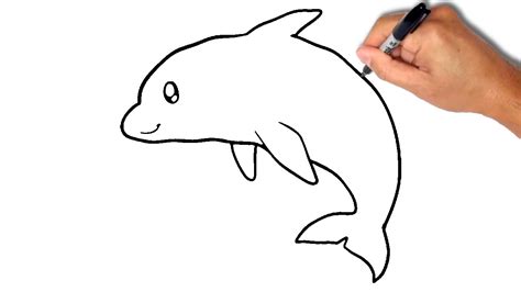 dolphin drawing easy  getdrawings