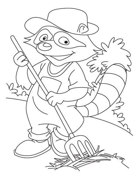 baby raccoon coloring pages  getdrawings