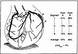 Coronary Artery Nejm Proximal Assessment Visual Segments Lesion sketch template