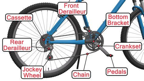 parts   bike diagram  bicycle anatomy guide