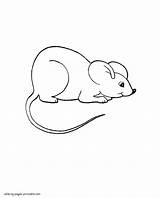 Coloring Preschool Pages Mouse Printable Animals Preschoolers Toddlers sketch template