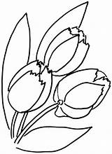 Kwiaty Kolorowanki Tulips Lalele Tulip Tulpen Buchet Bloem Tulipany Supercoloring Druku Kleurplaten Tulp Kolorowania Obrazki Tegninger Kwiatami Wydruku Kolorowanka Printen sketch template