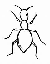 Ant Coloringme sketch template