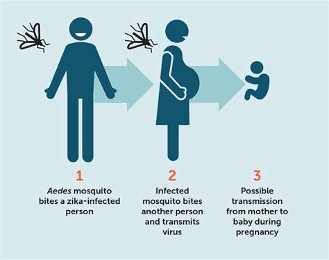zika virus vanderbilt medicine magazine