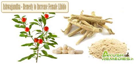 ayurvedic medicines to increase libido and sex drive in women