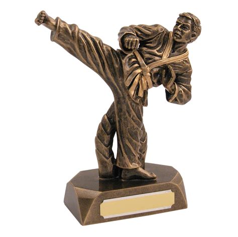 beautiful karate action figure trophy rf30 karate