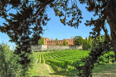 wineries vineyards  wine tasting experiences  tuscany