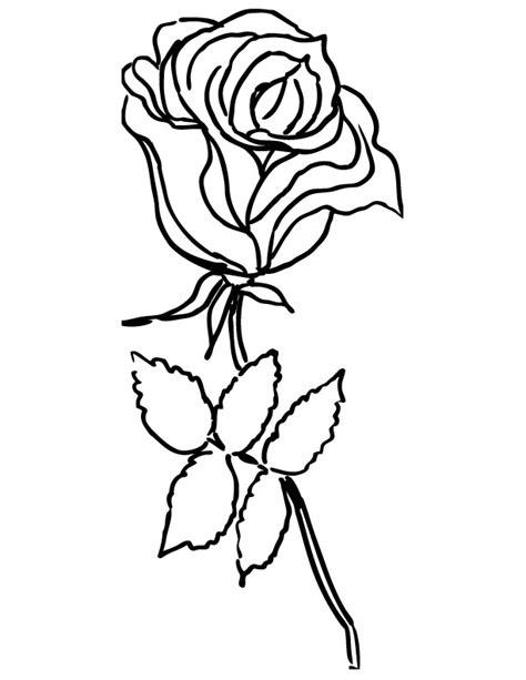 roses coloring pages