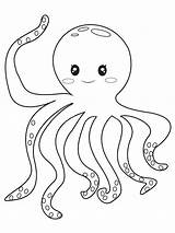 Clam Mollusks Octopus Cephalopoda sketch template