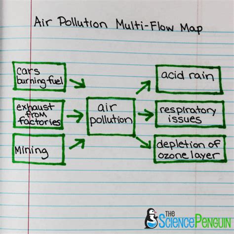 thinking maps  science multi flow map  science penguin