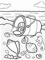 Shells Seashells Zdroj Coloringpage Pinu sketch template