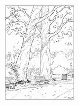 Coloring Adult Pages Landscape Landscapes Drawings Books Pencil Tree sketch template
