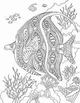 Coloring Pages Sea Fish Zentangle Para Colorear Angelfish Under Printable Adults Mar Print Animal Adult Colouring Mandala Color Mandalas Pdf sketch template
