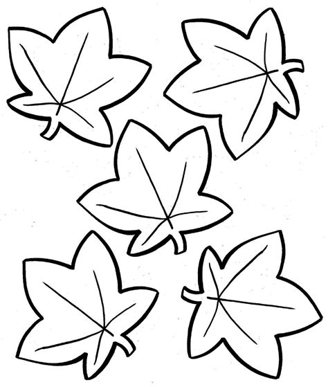 fall leaf coloring pages   ages coloring pages
