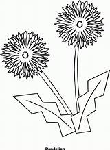 Dandelion Bunga Flower Randa Mewarnai Kartun Tapak Nyata Versi Chrysanthemum Coloringpagebook Printerkids Catwoman Coloringhome sketch template