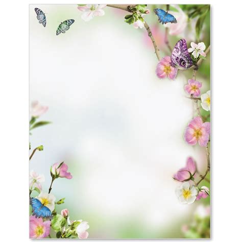 butterfly delight letter paper borders  paper spring stationery