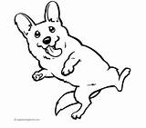 Coloring Corgi Pages Welsh Pembroke Printable Dog Color Dogs Corgis Terrier Boston Getcolorings Kids Popular Print Coloringhome Funny sketch template