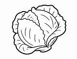 Cabbage Colorare Riscos Sheets Alfajores sketch template