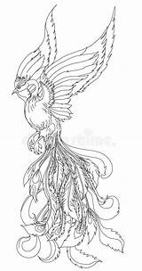 Phoenix Tattoo Dasti Naghsh sketch template