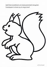 Eekhoorn Herfst Tekenen Een Knutselen Tekeningen Piccoli Staart Bos Colorir Animais Insetos Fazenda Eenvoudig Squirrel Eekhoorns Gifgratis Downloaden Bezoeken Dieren sketch template