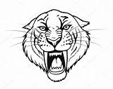 Tiger Tooth Saber Head Vector Drawing Stock Isolated Getdrawings Petrovic Shutterstock sketch template