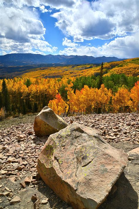 Ohio Pass Aspens Photograph By Ray Mathis Free Download Nude Photo