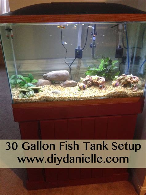 gallon fish tank setup diy danielle