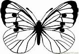 Colorat Fluturi Schmetterling Desene Perhoset Mariposas Planse Fise Fluturasi Aripile Unui Monarch Tulosta sketch template