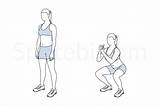 Squat Exercise Spotebi Exercises Guide Hip Illustration Workout Illustrated Glutes Flexors Back Demonstration Instructions Proper Benefits Form Lower sketch template