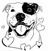 Dessin Drawings Pitbull Coloring Bull Staffy Pages Dog Drawing Terrier Chien Tattoo Pit Staffordshire Colouring Coloriage Sheets Amstaff American Outlook sketch template