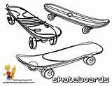 Coloring Pages Skateboarding Skateboard Skate Sheets Freecoloringpages Popular Party Gif sketch template