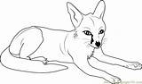 Foxes Coloringpages101 sketch template
