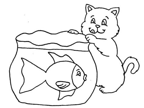 cat   catch fish  fish tank coloring page netart coloring