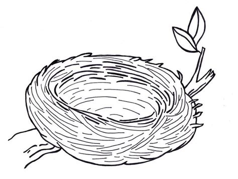 cartoon birds nest bird coloring pages coloring eggs coloring pages