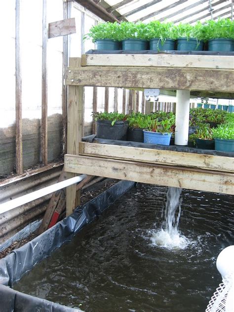 growing power vertical aquaponics system water pumped