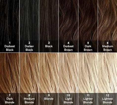 hair level chart great    base  starting point hair color   underlying
