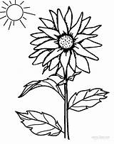 Sunflower Simple Drawing Coloring Printable Getdrawings sketch template