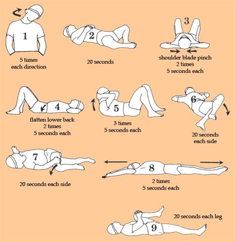 24 Best Exercises To Stretch Lower Back Images On