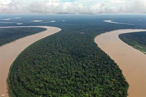 brazil revises deforestation data amazon rainforest loss topped