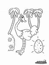 Ostrich Coloring Pages Printable Kids Animal Egg Other Click Preschool sketch template