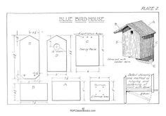 tufted titmouse bird house plans bird house plans  bird house plans bird houses